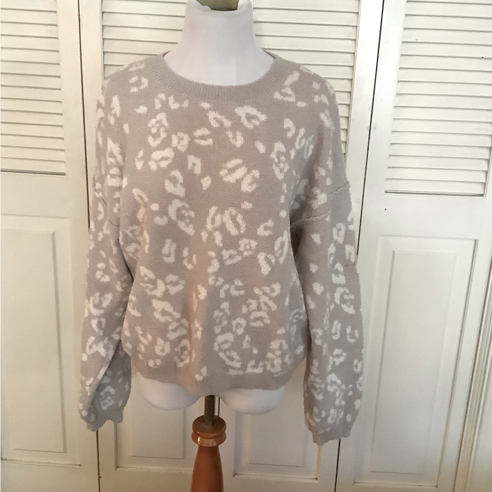 NWT Womens leopard printed pullover and shorts set. It is very comfy and soft